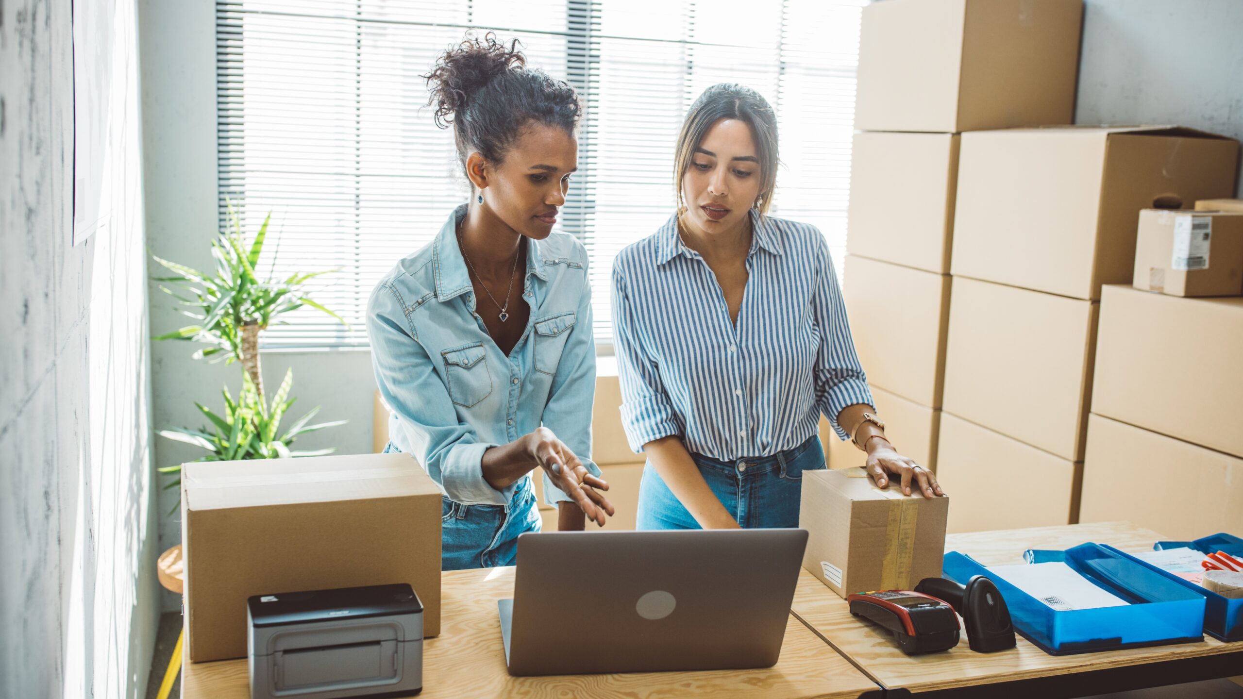 7 Reasons Your Business Needs Proper Xero Setup From the Start