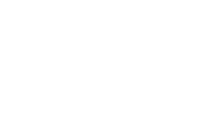 xero-gold-partner-logo-white